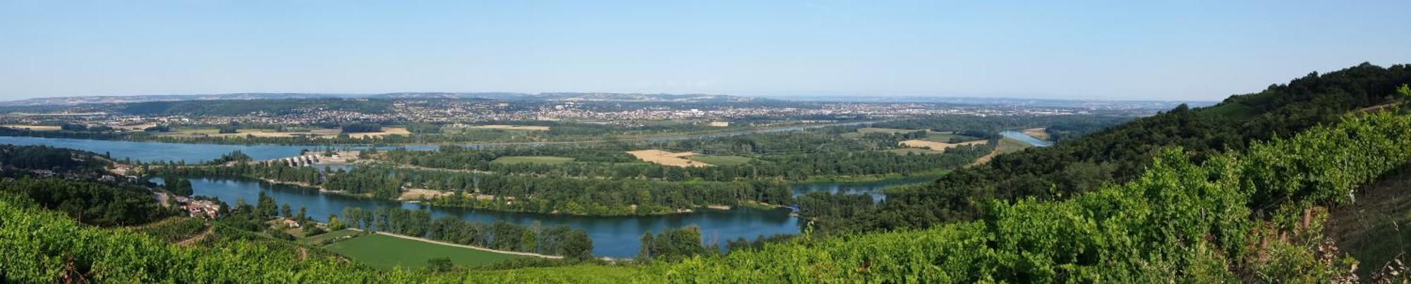 L'Ecrin De Vert Saint-Alban-du-Rhône 客房 照片